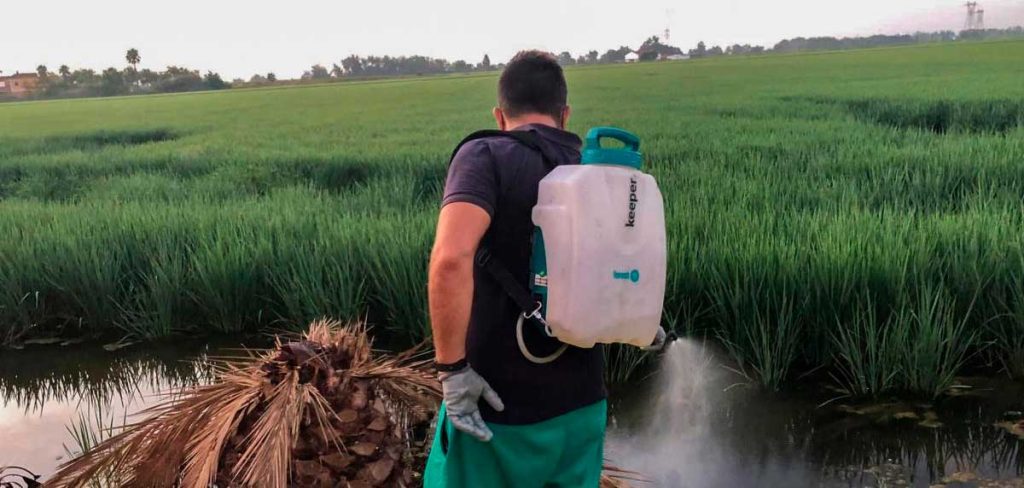 Los mosquitos son un enemigo invisible para la agricultura