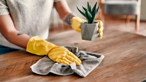 Consejos para ahuyentar ácaros de muebles y cortinas.