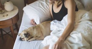 Ácaros: ¿Cómo afectan a la salud humana?