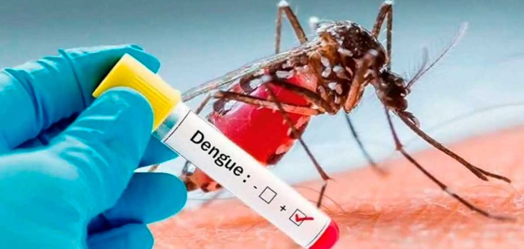cómo los mosquitos afectan tu salud