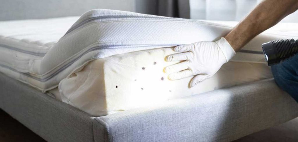 cuidado con los chinches en la cama