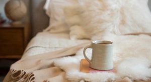 Elimina ácaros en casa: Consejos efectivos
