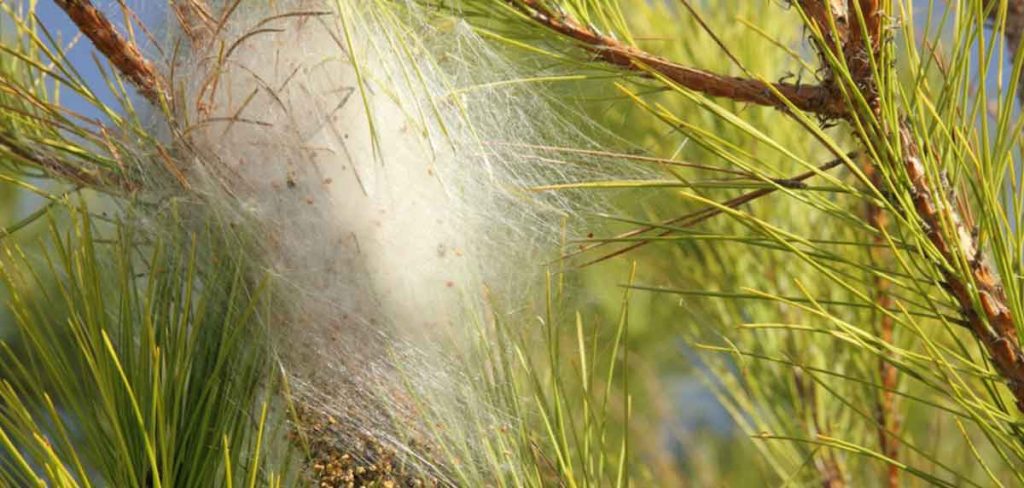 impacto de la procesionaria en plantas