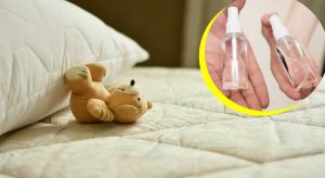 Ácaros en juguetes de niños: ¿un peligro para la salud?